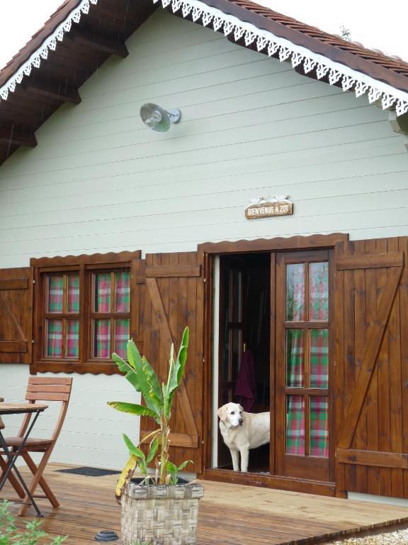 Bed and Breakfast Le Trot'In Chair Martigny-le-Comte Zimmer foto