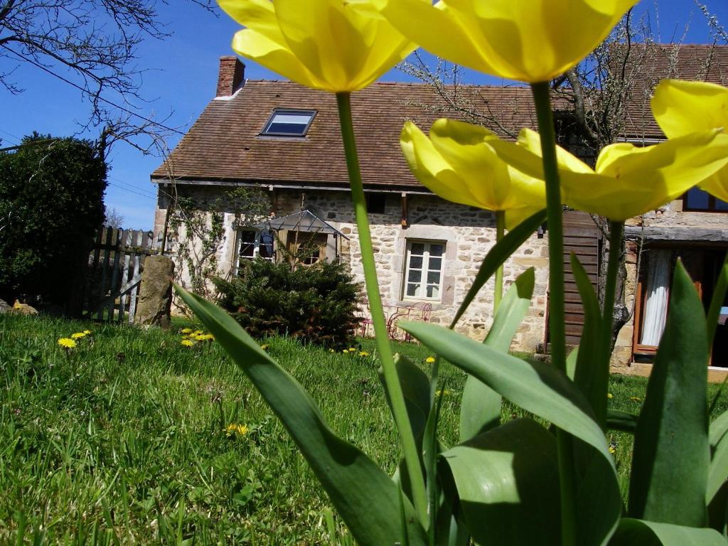 Bed and Breakfast Le Trot'In Chair Martigny-le-Comte Exterior foto